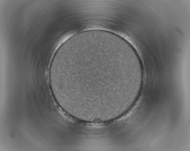 X0000110961145200907171644