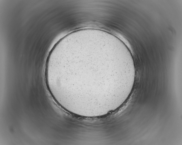 X0000110961146200907171644