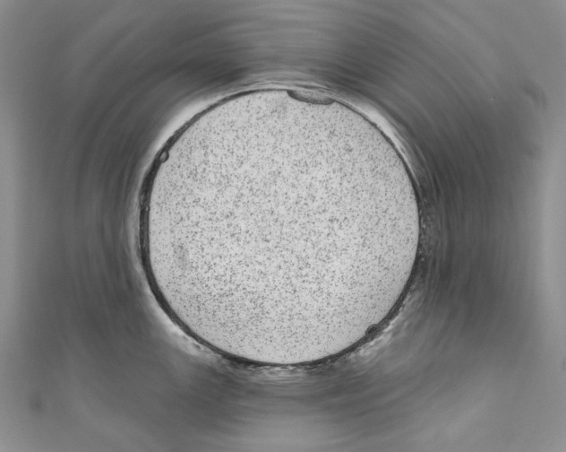 X0000110961147200907171644