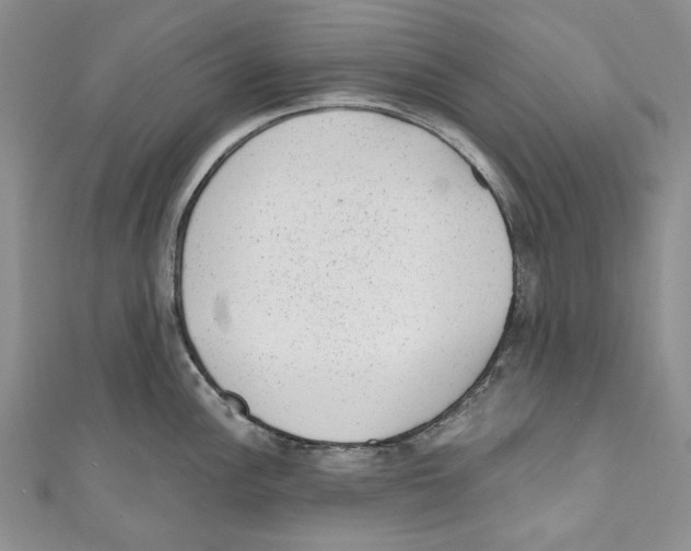X0000110961148200907171644