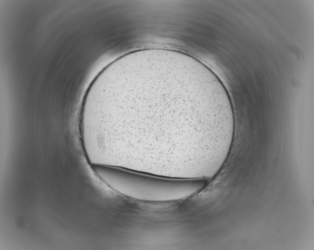 X0000110961152200907171644