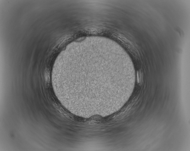 X0000110961155200907171644