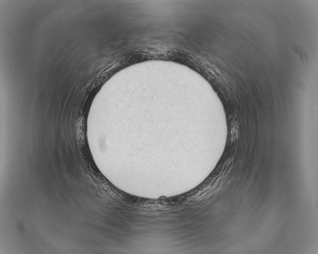X0000110961156200907171644