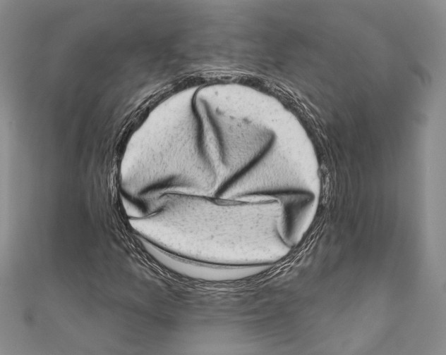 X0000110961157200907171643