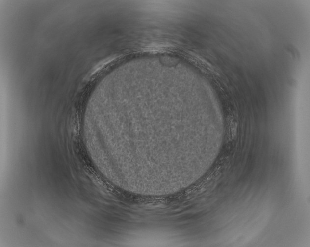 X0000110961158200907171643