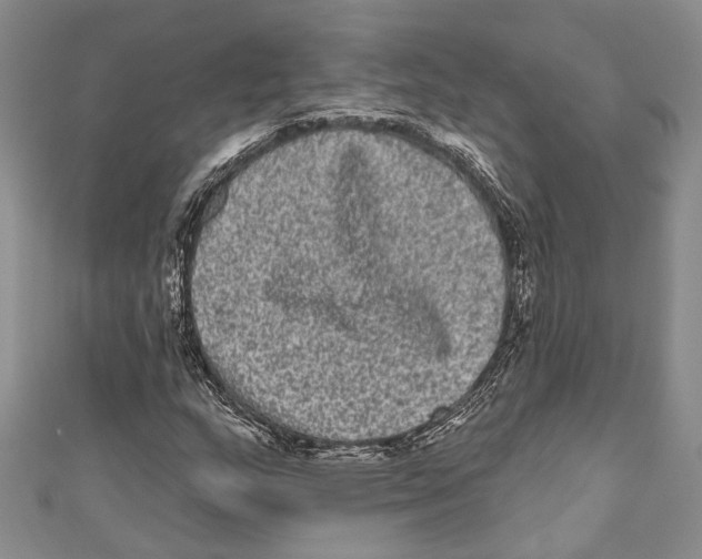 X0000110961159200907171643