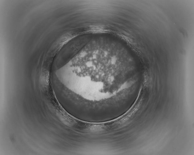 X0000110961161200907171643