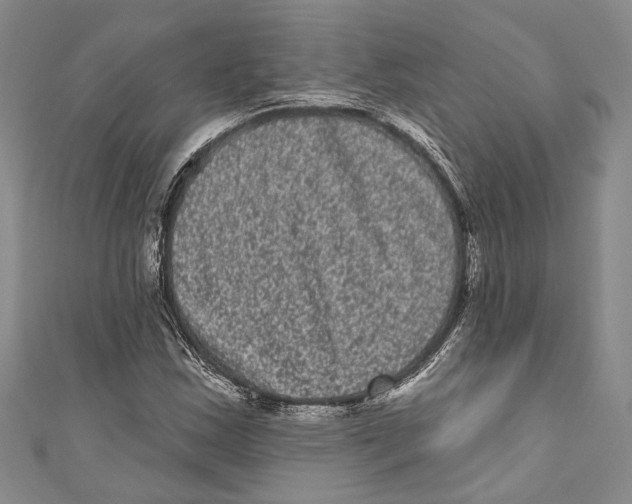 X0000110961163200907171643