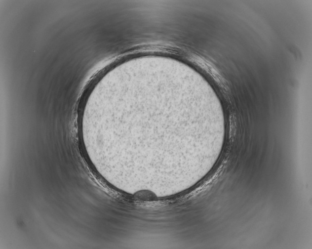 X0000110961164200907171643