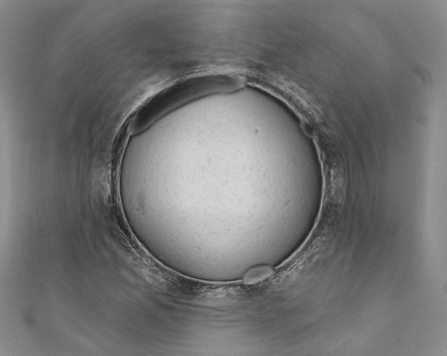 X0000110961165200907171643
