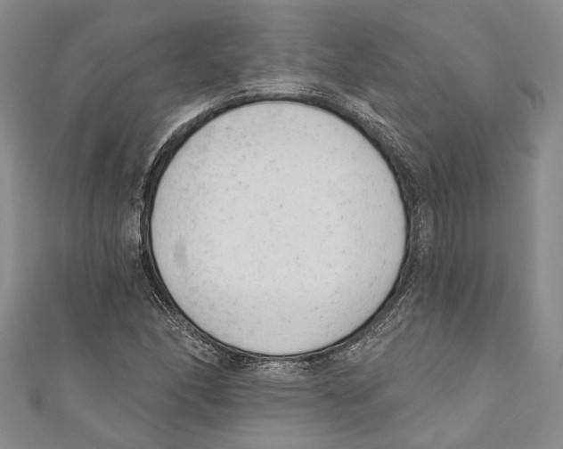 X0000110961166200907171643
