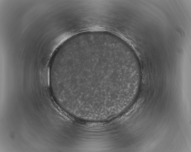 X0000110961171200907171643