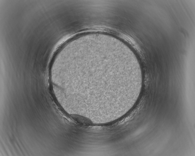 X0000110961172200907171643