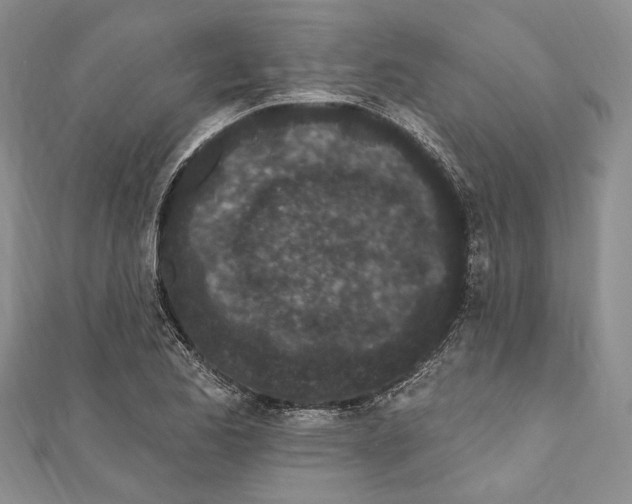 X0000110961173200907171643