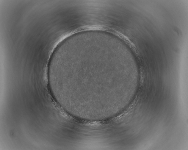 X0000110961174200907171643