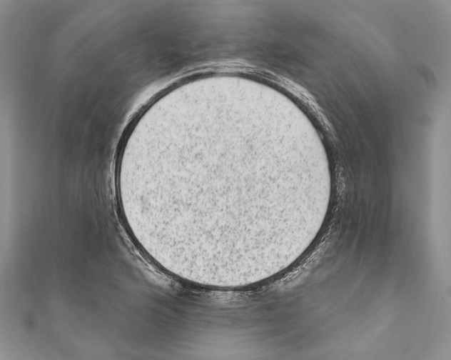 X0000110961176200907171643