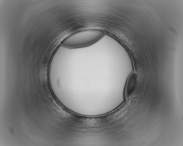 X0000110961177200907171643