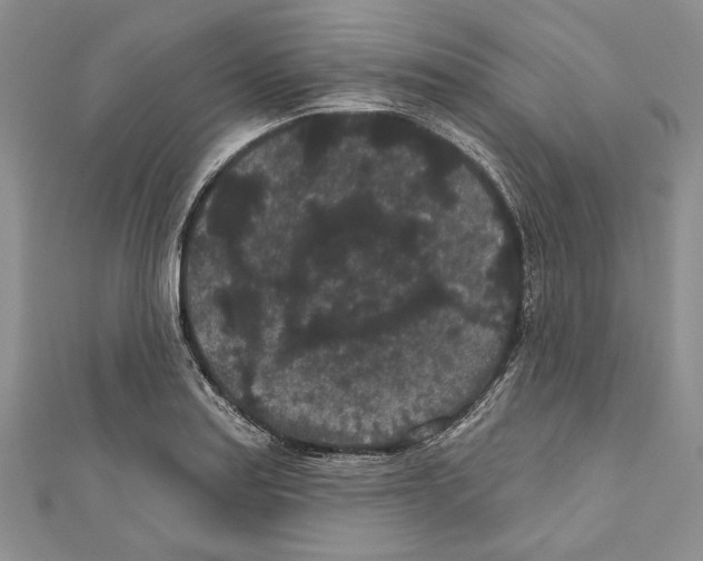 X0000110961179200907171643