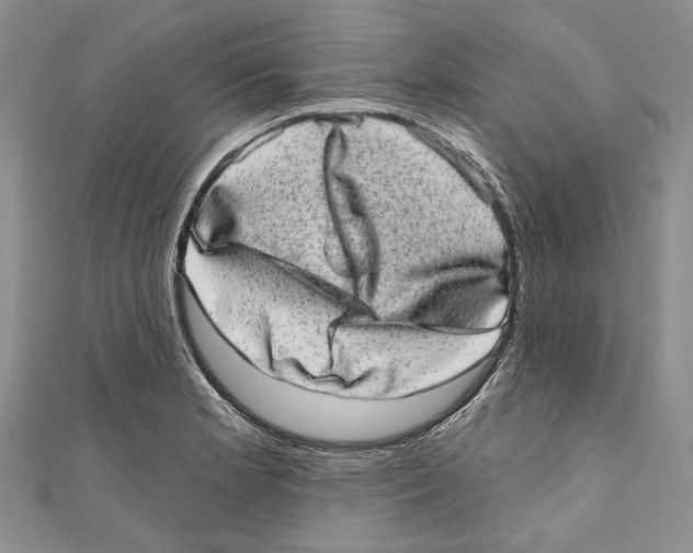 X0000110961181200907171643