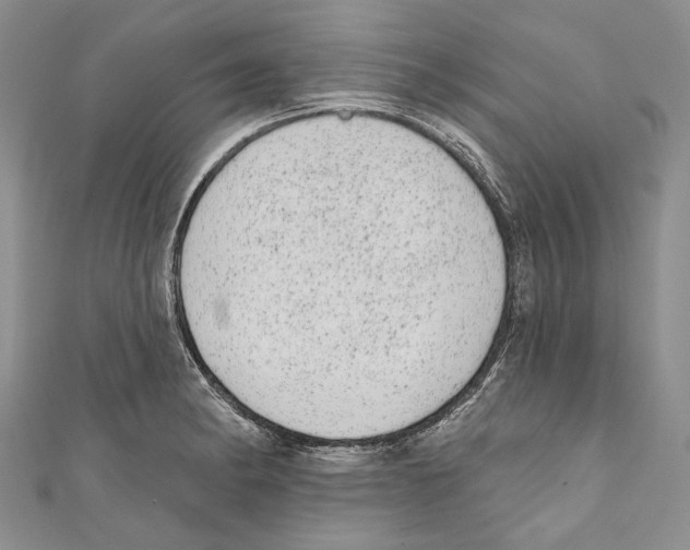 X0000110961182200907171643