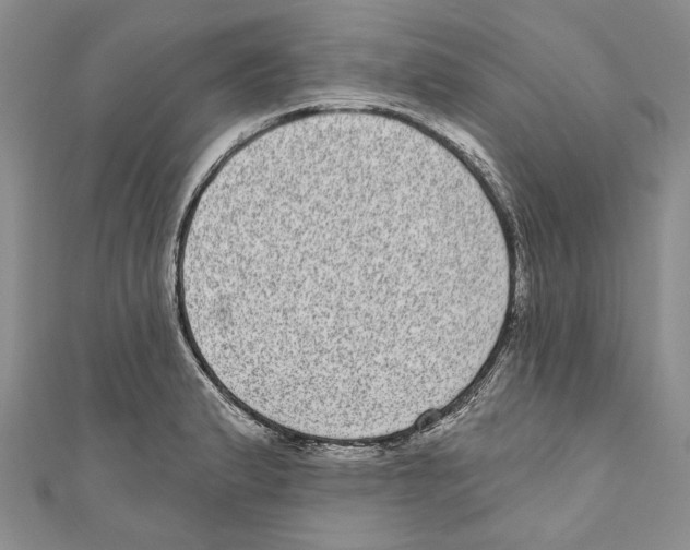 X0000110961183200907171643