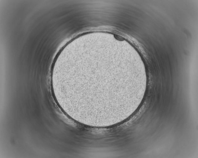 X0000110961184200907171643