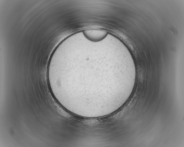 X0000110961186200907171643