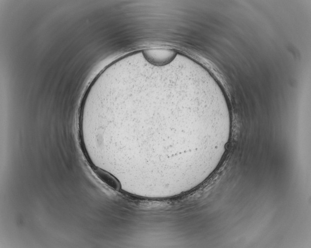 X0000110961187200907171643