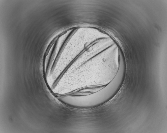 X0000110961189200907171643
