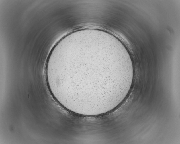 X0000110961190200907171643