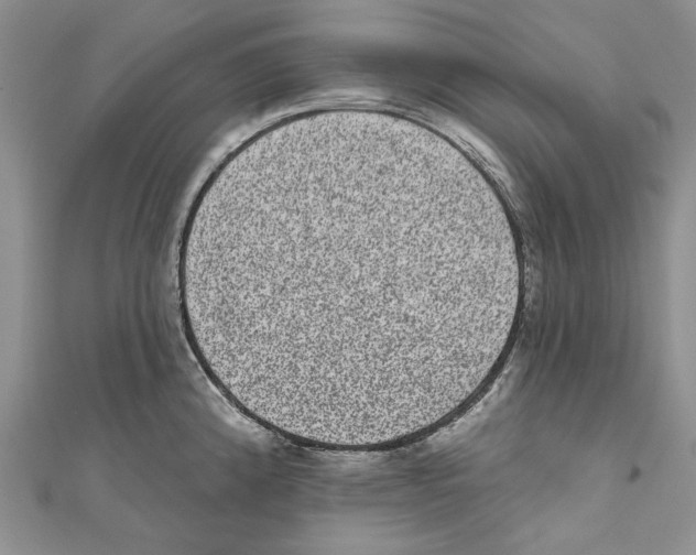 X0000110961192200907171643