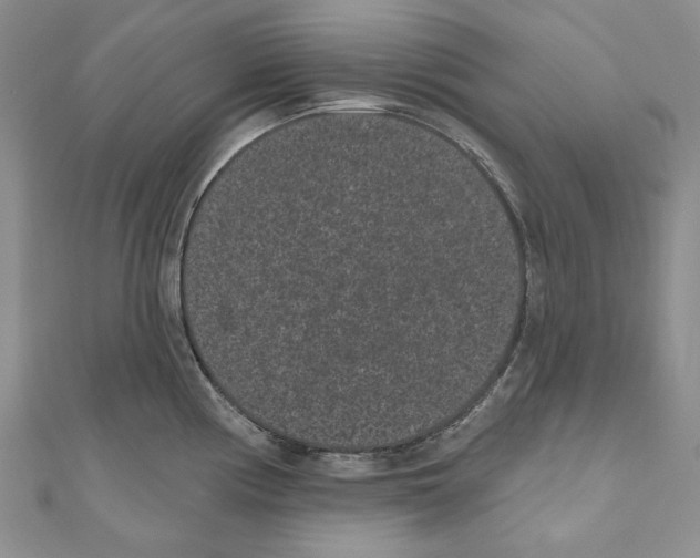 X0000110961194200907171643