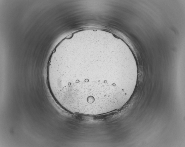 X0000110961195200907171643