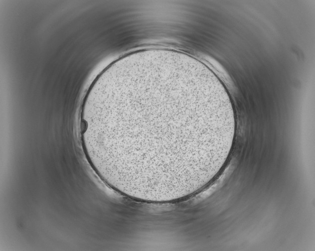 X0000110961196200907171643