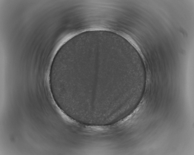 X0000110961197200907171643