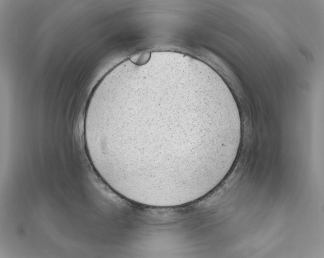 X0000110961198200907171643