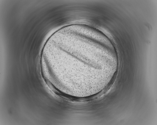 X0000110961200200907171643
