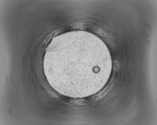 X0000110961201200907171642