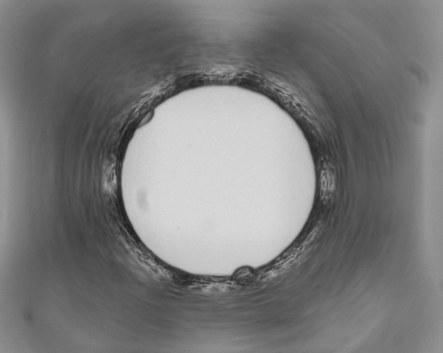 X0000110961204200907171642