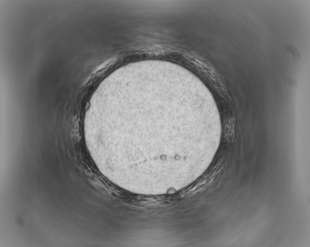 X0000110961205200907171642