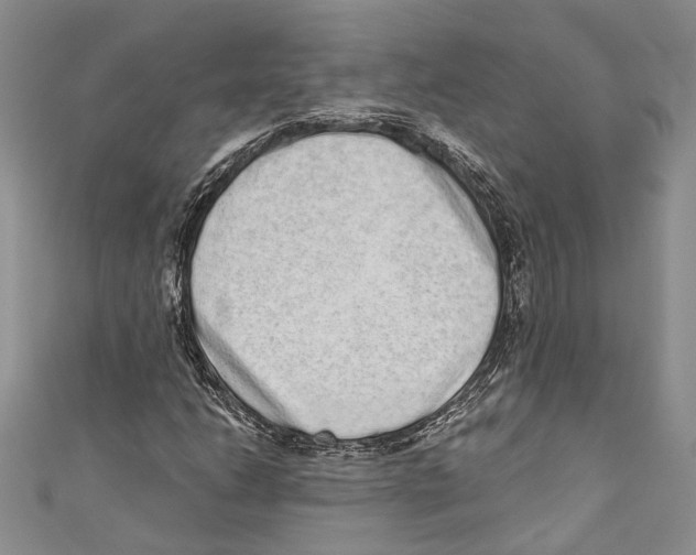 X0000110961206200907171642