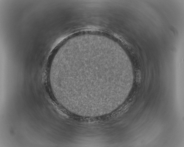 X0000110961208200907171642