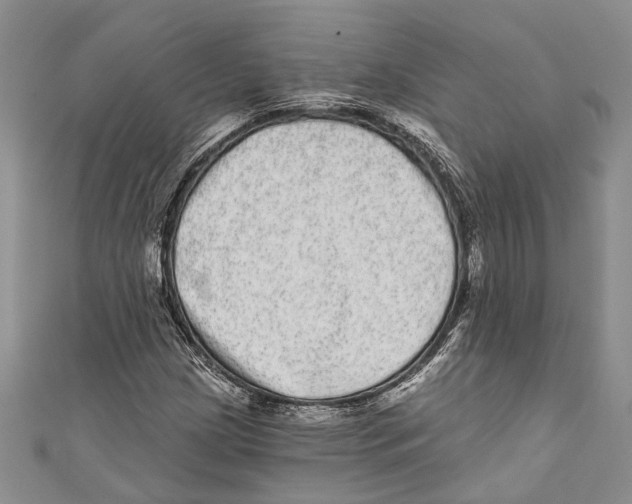 X0000110961209200907171642