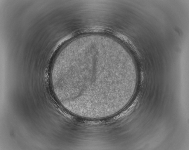 X0000110961210200907171642