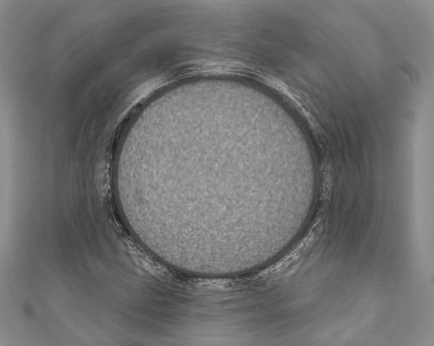 X0000110961211200907171642