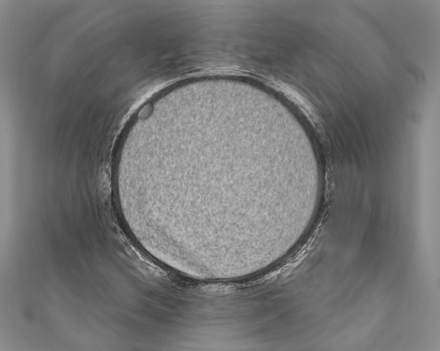 X0000110961212200907171642