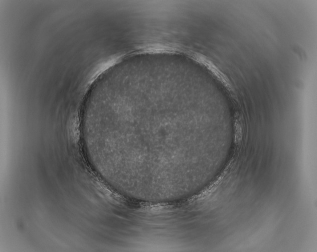 X0000110961213200907171642