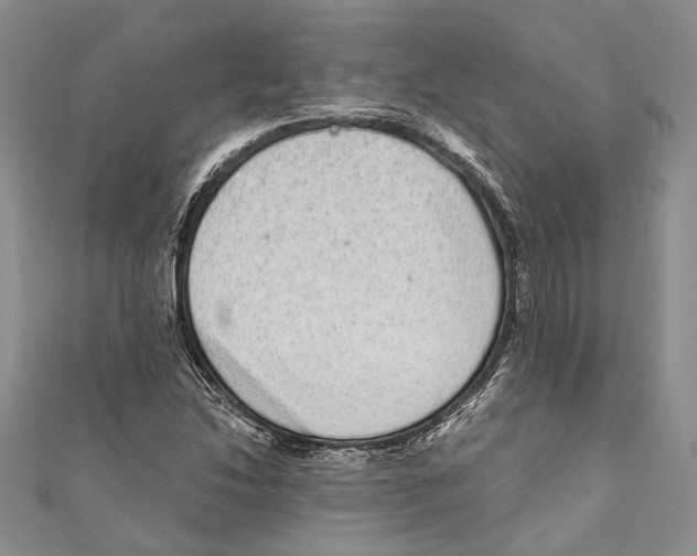 X0000110961214200907171642