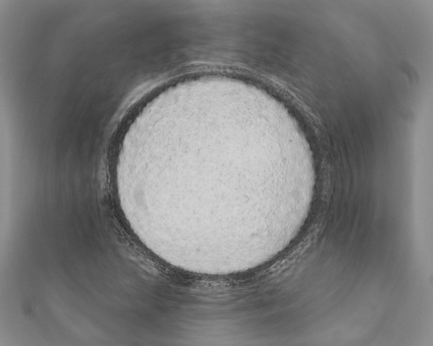 X0000110961215200907171643