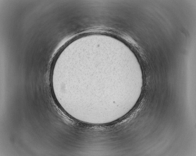 X0000110961216200907171643
